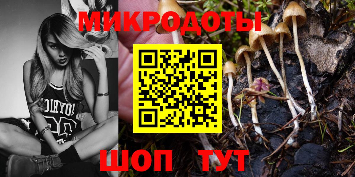 Псилоцибиновые грибы Psilocybe Орехово-Зуево