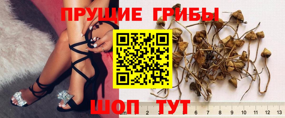Орехово-Зуево  Галлюциногенные грибы Magic Shrooms  Псилоцибиновые грибы Magic Shrooms  Вход с VPN 